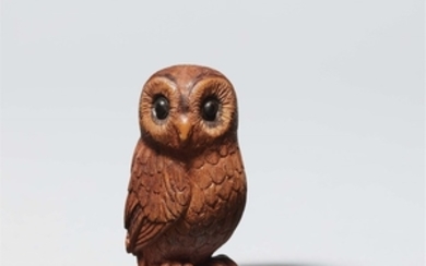 Owl. Michael Webb