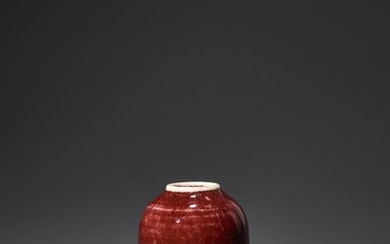 A COPPER RED GLAZED BEEHIVE WATER POT, QING...