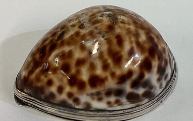A fine 18th Century Scottish silver mounted cowrie shell snuff box / mull with hinged lid.