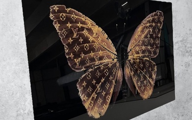 AmsterdamArts - Light brown Louis Vuitton diamond butterfly