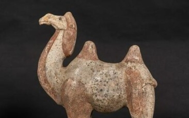 Arte Cinese An earthenware Bactrian camel China, Tang