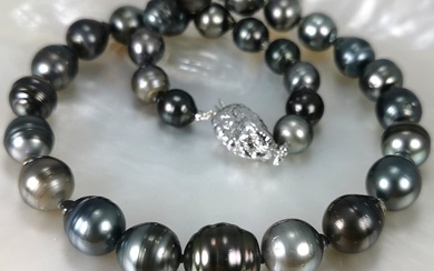 Big Rainbow Tahitian pearls BQ Ø 10,5x14,9 mm necklace - Necklace Silver Pearl