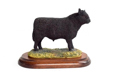 Border Fine Arts 'Galloway Bull', model No. L33 by Ray...