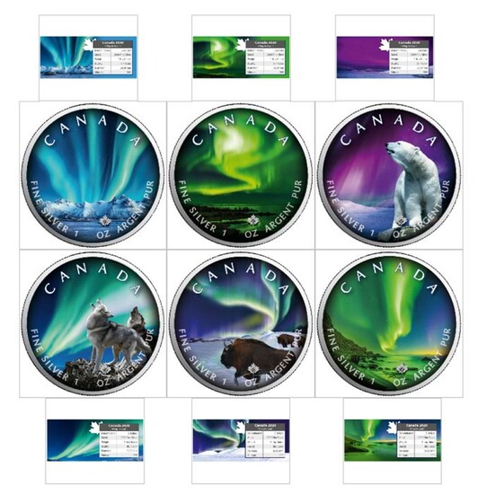 Canada - 5 Dollar 2020 Maple Leaf Polarlichter vollständige Serie 1 - 6 mit Zertifikat - 6 x 1 Oz - Silver