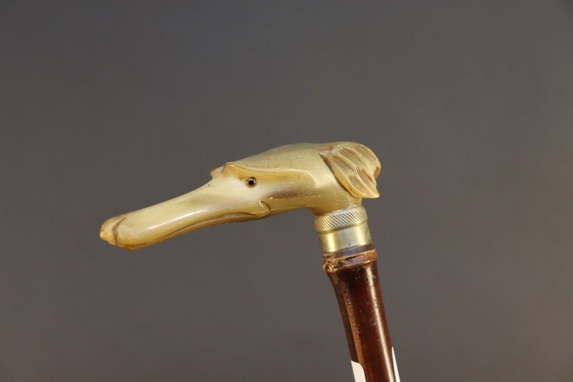 Cane with bamboo shaft. Horn knob with a greyhound head. Glass eyes. Height 88,5 cm