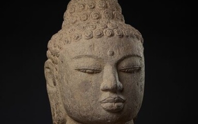 Central Java, Stone, Andesite rare and large museum quality head of Buddha - 41 cm - (1)