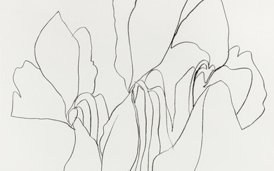 Cyclamen V (from Suite of Plant Lithographs), ca. 1964-1965