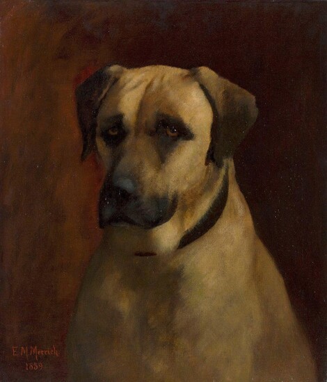 Emily Mary Merrick, British 1843-1921- Portrait of a dog; oil on canvas, signed and dated 'E.M. Merrick. 1889' (lower left), 60.8 x 52.1 cm., (unframed). Provenance: Private Collection, UK.