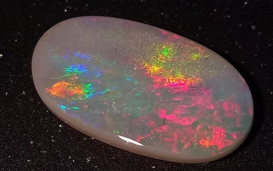 Fantastic Australian Opal Thousands Pin Fires VividFull Colors 10.95 ct Cabochon - 24×13×5 mm - 2.19 g