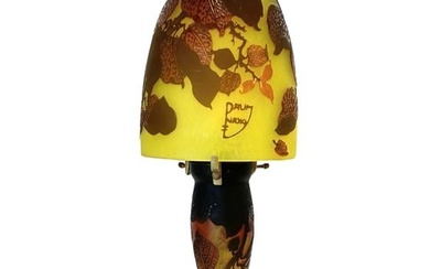 French Cameo Art Glass Lamp Daum Nancy Style