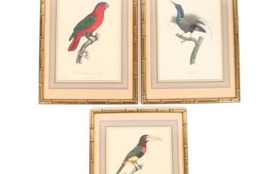 Jacques Barraband, French (1768 - 1809), exotic birds; Le Promefil, 3 hand tinted lithographs
