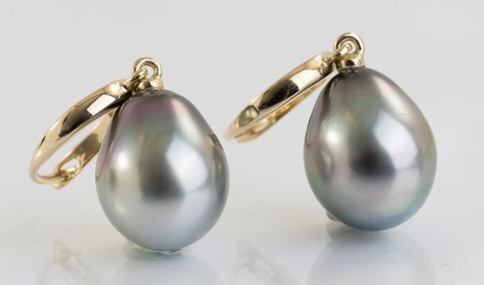 NO RESERVE PRICE - 10x11mm Tahitian Pearl Drops - 14 kt. Yellow gold - Earrings