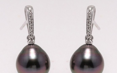 NO RESERVE PRICE - 14 kt. White Gold - 9x10mm Peacock Tahitian Pearls - Earrings - 0.08 ct
