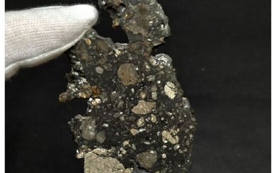 "NWA 13859" Lunar Feldspathic Breccia (Troctolite Rich) Achondrite Meteorite - 14.29 g