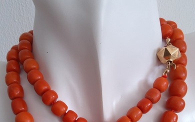 Necklace - Yellow gold Coral