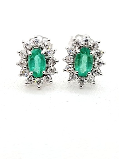 No Reserve price - 18 kt. White gold - Earrings - 0.62 ct Emerald - Diamonds