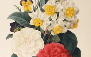 PIERRE-JOSEPH REDOUTÉ. bouquet with camellias, daffodils, pansies, art print.