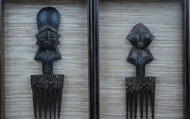 Pair Of African Carved Wooden Combs In Shadow Box