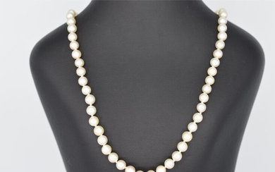 Pearl necklace with luxurious diamond clasp