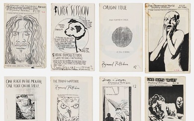 Raymond Pettibon, Collection of eight zines