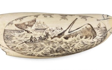 * ENGRAVED WHALE'S TOOTH Contemporary Oval reserve depicts...