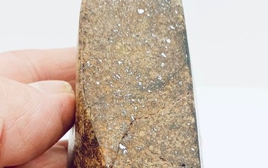 Unclassified NWA meteorite Chondrite Meteorite - Height: 80 mm - Width: 60 mm - 316 g - (1)
