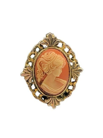 Vintage Pink & Cream Cameo Brooch Depicting A Silhouette Of A Victorian Beauty