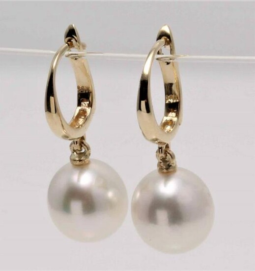 14 kt. Yellow Gold - 9x10mm South Sea Pearl Drops