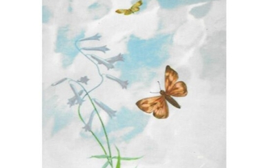 1920's Long Dash Butterfly Color Lithograph Print