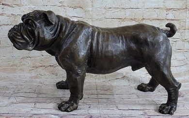 30lbs William English Bulldog Bronze