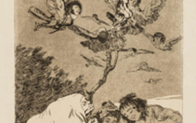 Francisco Goya (1746-1828) Nine plates from 'Los Caprichos', the Second Edition, 1855.