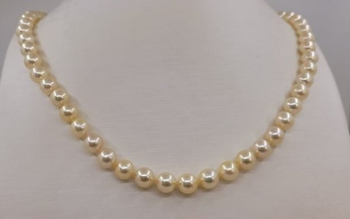 7x7.5mm Bright Akoya pearls - 14kt gold - Yellow gold - Necklace