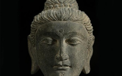 A GANDHARA CARVED SCHIST HEAD OF BUDDHA