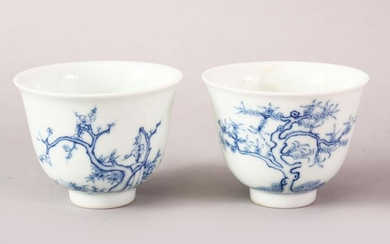 A PAIR OF 20TH CENTURY CHINESE BLUE & WHITE PORCELAIN