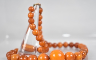 A String of Graduated Spherical Egg Yolk Amber Beads, Late 1...