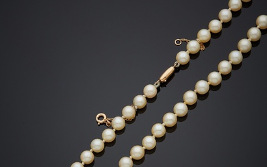 Collier de perles de culture en choker, enfilées sur fil à nœuds, fermoir olive à...
