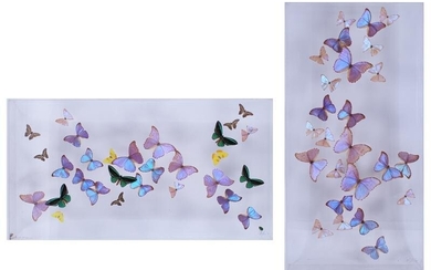 Decorative Arts: Butterfly Collections (two)
