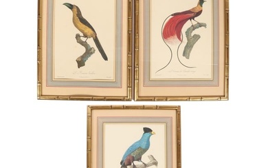 Jacques Barraband, French (1768 - 1809), exotic birds, 3 hand tinted lithographs; L'Aracari