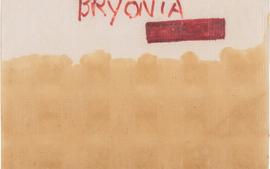 Joseph Beuys, BRYONIA