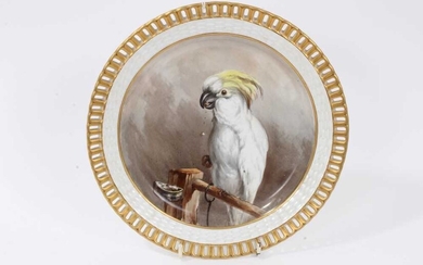 Minton plate, finely painted with a cockatoo