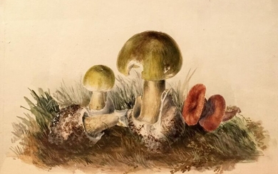 Rare Edward Forster the Younger Watercolors