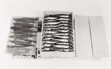 "Sardines", 1999-Hannah Collins (b. 1956)