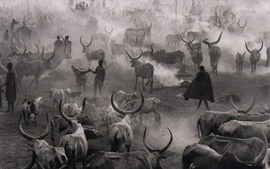 Sebastião Salgado (Brazilian, b. 1944) Dinka Cattle Camp of Amak, Southern Sudan, 2006