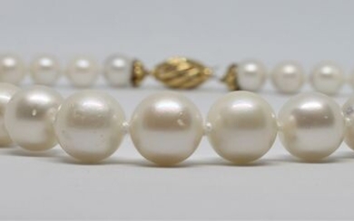 18 kt. South sea pearls, Yellow gold, 11-14.5 mm - Necklace