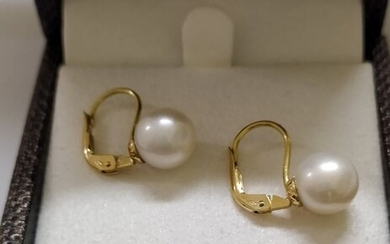 18 kt. Yellow gold, Akoya pearls, Ø 8,5x9mm - Earrings - monachina earrings