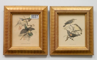 2 Ornithological prints