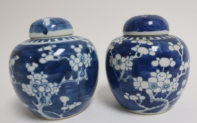 2 Small Blue & White Prunus Jars