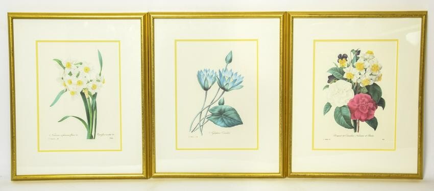 3 Professionally Framed Redoute Floral Prints