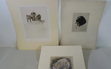 (3) SIGNED DOG THEMED ETCHINGS: BRUSSELS GRIFFONS
