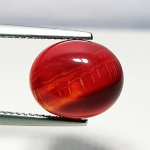 4.25 ct Natural Red Coral - Coted